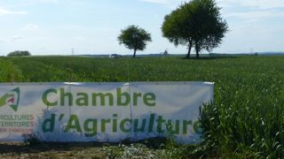 © A. Cassigneul/GFA © A. Cassigneul/GFA